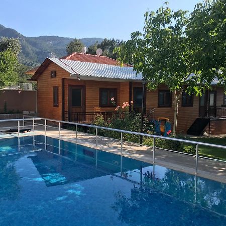 yenivadi Villa Antalya Dış mekan fotoğraf