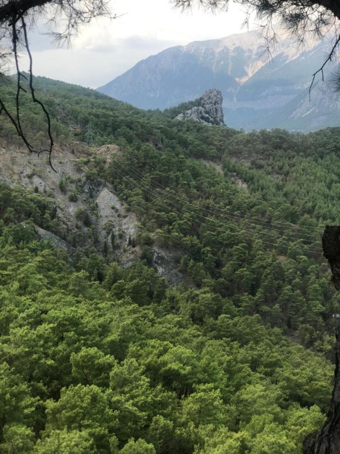 yenivadi Villa Antalya Dış mekan fotoğraf