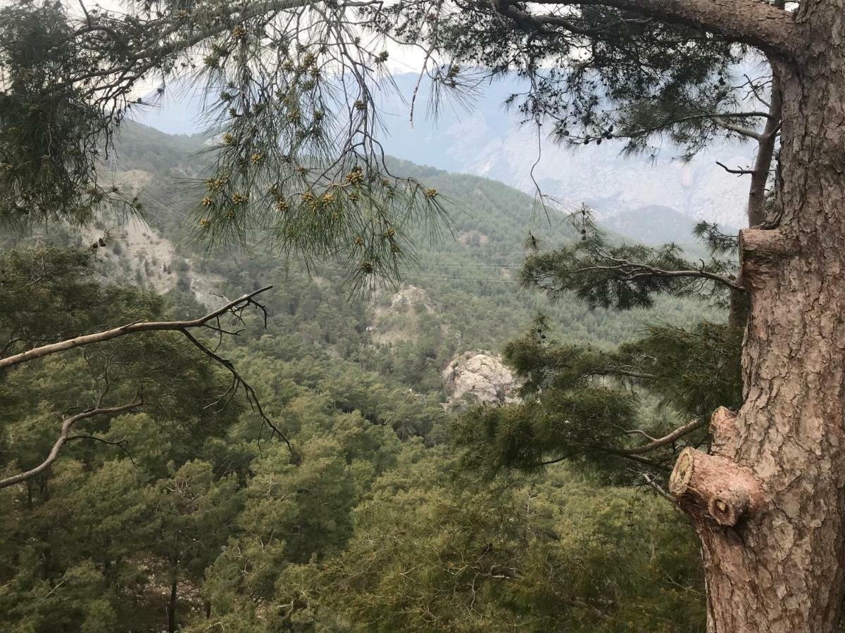 yenivadi Villa Antalya Dış mekan fotoğraf