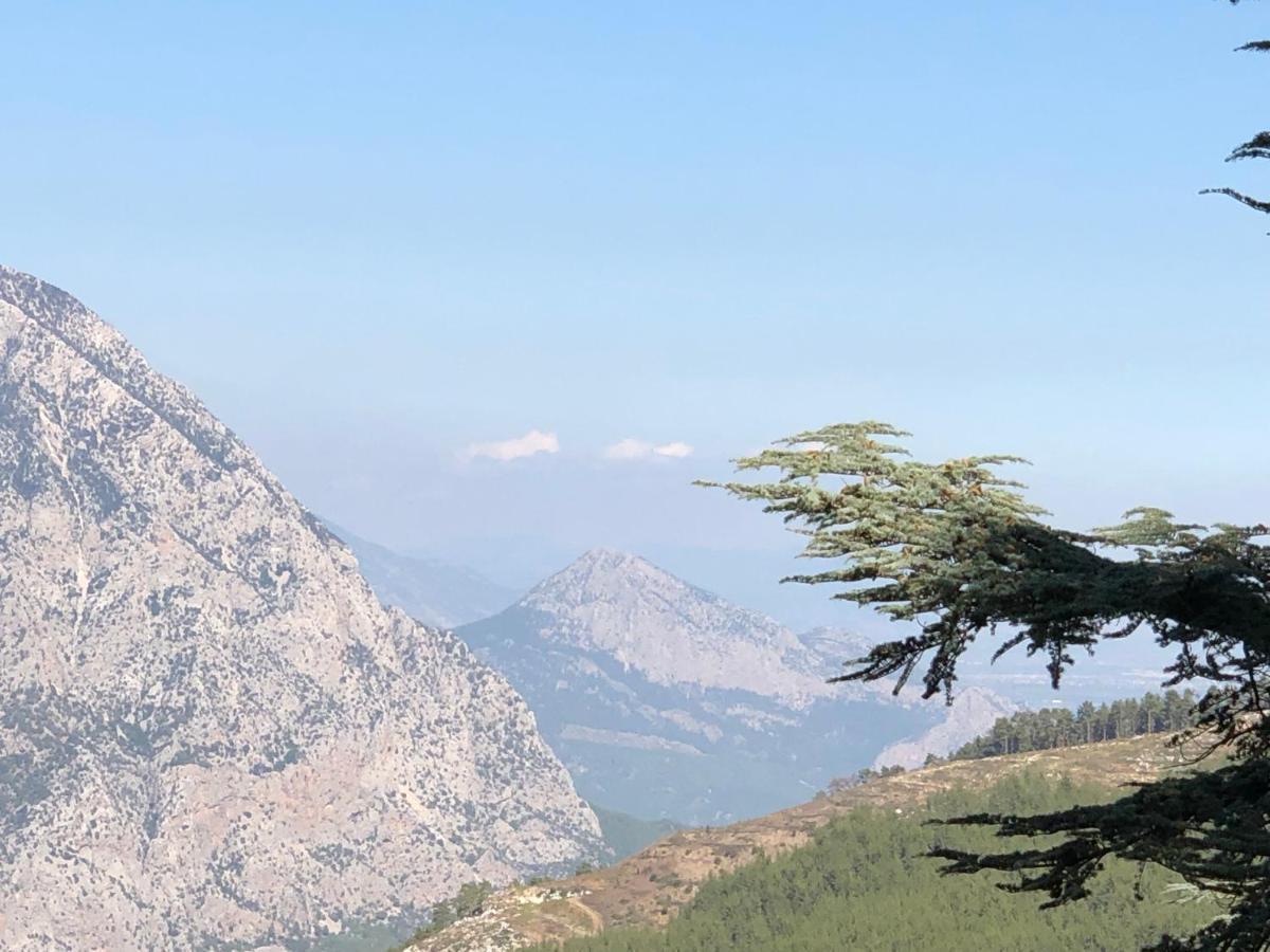 yenivadi Villa Antalya Dış mekan fotoğraf