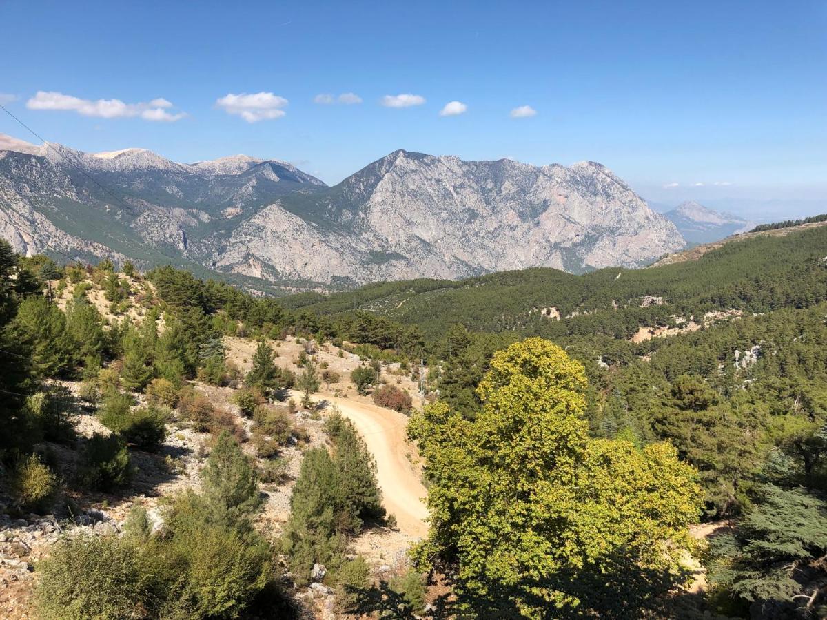 yenivadi Villa Antalya Dış mekan fotoğraf