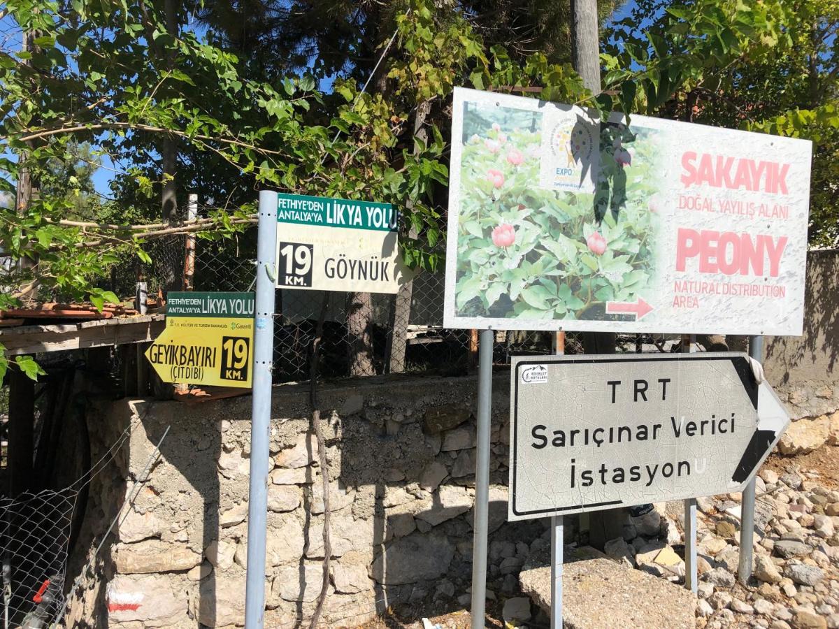 yenivadi Villa Antalya Dış mekan fotoğraf